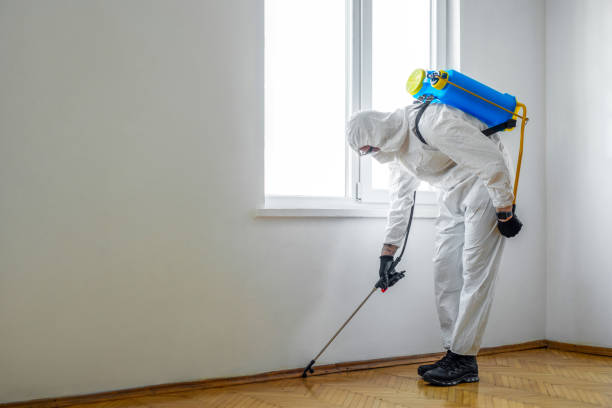 Emergency Pest Control Services in Wynne, AR